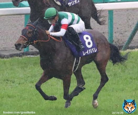 【勝利のチケットを次代に】 昨年の大阪杯覇者レイパパレの現役引退がキャロットクラブより発表されました。  本日13日に日本に帰国。香港カップ9着がラストランとなりました。#レイパパレ