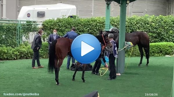 香港カップのレース後、お水を飲むレイパパレ。0:1141.3K viewsQuote Tweet