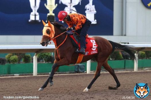 香港カップ9着レイパパレ、右前脚のつなぎに腫れ　帰国後にエコー検査　#レイパパレ