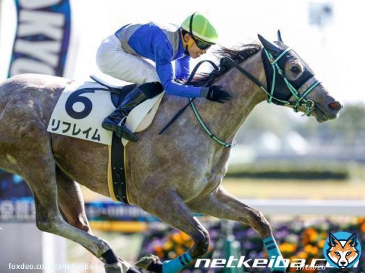 【中京11R・コールドムーンS(OP)】 野中悠太郎騎手騎乗リフレイムが、最後は馬場の七分どころを通っての逃げ切りV。  ダートは4戦目での初勝利。米三冠馬の父アメリカンファラオ譲りの才が新たに開眼。