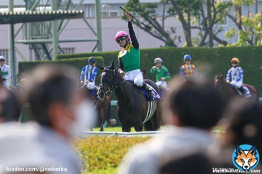 【#有馬記念 枠順】 ファン投票1位 グランプリ連覇のタイトル掴み真の最強を証明 7枠13番タイトルホルダー  横山和生騎手　美浦・栗田徹厩舎 父ドゥラメンテ　母メーヴェ