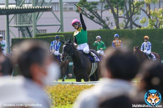 【#有馬記念 枠順】 ファン投票1位 グランプリ連覇のタイトル掴み真の最強を証明 7枠13番タイトルホルダー  横山和生騎手　美浦・栗田徹厩舎 父ドゥラメンテ　母メーヴェ