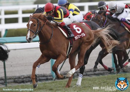 【#東京大賞典】 オルフェーヴル産駒は5頭目のG1級優勝馬誕生。  ラッキーライラック：大阪杯などG1・4勝 エポカドーロ：皐月賞 マルシュロレーヌ：BCディスタフ ショウナンナデシコ：かしわ記念 ウシュバテソーロ：東京大賞典&larr;new!