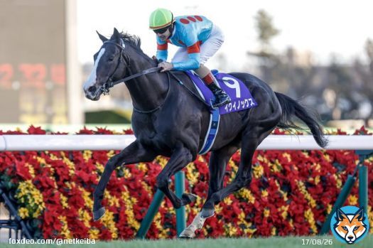 有馬記念&rarr;キタサンブラック産駒イクイノックス ホープフルステークス&rarr;サトノダイヤモンドの甥ドゥラエレーデ 撮影：下野雄規  なるほど。