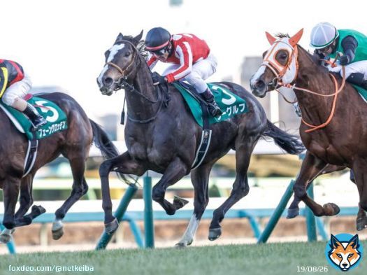 【#中山金杯 レース後コメント】 ラーグルフ戸崎圭太騎手、クリノプレミアムM.デムーロ騎手ら   ラーグルフ 宗像師 「さすが戸崎騎手ですね。今は落ち着いてきているのがなによりです。集中して、鞍上の言うことを聞けるようになっているのではないでしょうか」※抜粋