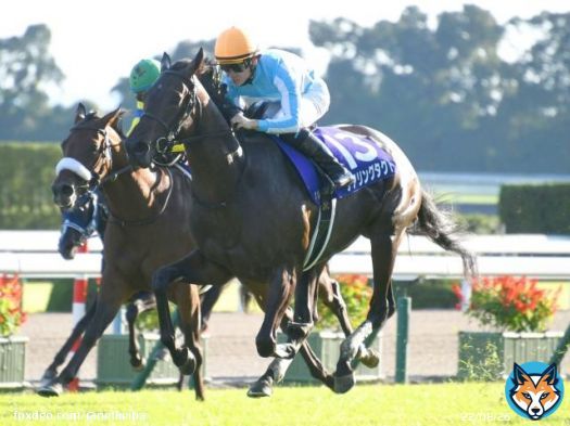 【#シンザン記念】 1986年以降、前走から連勝を果たした牝馬 2012年 ジェンティルドンナ 2018年 アーモンドアイ 2023年 ライトクオンタム&larr;new!