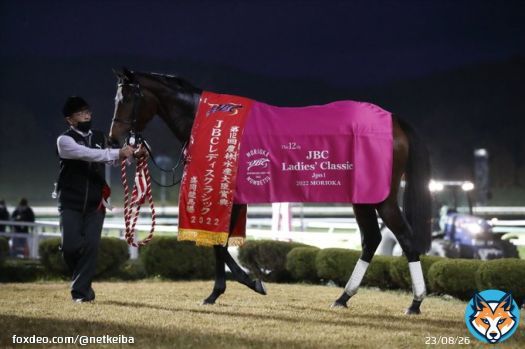 【次走報】 #ヴァレーデラルナ&rarr;TCK女王盃 #ライラック/M.デムーロ&rarr;阪神大賞典 #ルビーカサブランカ&rarr;愛知杯 #ユティタム&rarr;ヒヤシンスS #ルモンドブリエ&rarr;1/14 3歳1勝 中京芝2200 #ジュンツバメガエシ&rarr;放牧