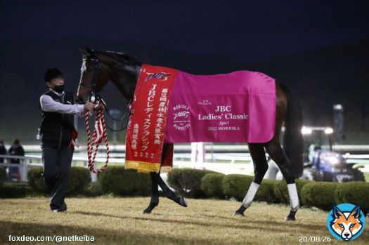 【次走報】 #ヴァレーデラルナ&rarr;TCK女王盃 #ライラック/M.デムーロ&rarr;阪神大賞典 #ルビーカサブランカ&rarr;愛知杯 #ユティタム&rarr;ヒヤシンスS #ルモンドブリエ&rarr;1/14 3歳1勝 中京芝2200 #ジュンツバメガエシ&rarr;放牧