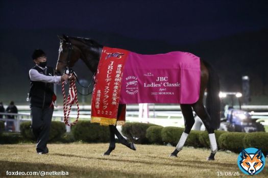 【次走報】 #ヴァレーデラルナ&rarr;TCK女王盃 #ライラック/M.デムーロ&rarr;阪神大賞典 #ルビーカサブランカ&rarr;愛知杯 #ユティタム&rarr;ヒヤシンスS #ルモンドブリエ&rarr;1/14 3歳1勝 中京芝2200 #ジュンツバメガエシ&rarr;放牧