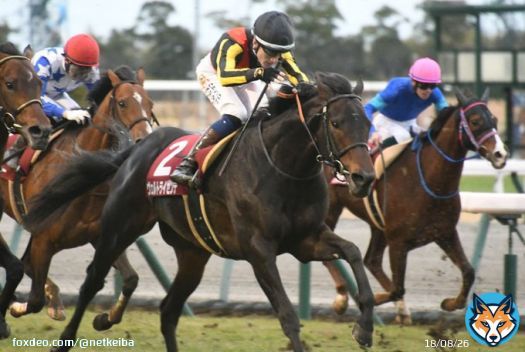 David Egan won his first Japanese group race, the G2 Nikkei Shinshun Hai.  多くの戦友がターフを去り なおひたむきに夢の旅路を歩む #ヴェルトライゼンデ #デヴィッド・イーガン #日経新春杯