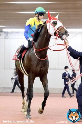 【#日経新春杯】 10番人気キングオブドラゴンが首差2着に激走、坂井瑠星騎手「つかみどころのないおもしろい馬」#キングオブドラゴン