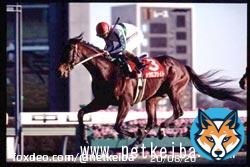 【#日経新春杯】 トップハンデの勝利は2012年トゥザグローリー(58.5kg)以来。59kg以上の勝利は1999年メジロブライト(59.5kg)以来。  JRA平地ハンデ重賞全体では、59kg以上の勝利はメイショウカイドウの2006年七夕賞(59kg)以来。