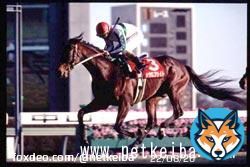 【#日経新春杯】 トップハンデの勝利は2012年トゥザグローリー(58.5kg)以来。59kg以上の勝利は1999年メジロブライト(59.5kg)以来。  JRA平地ハンデ重賞全体では、59kg以上の勝利はメイショウカイドウの2006年七夕賞(59kg)以来。
