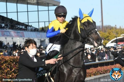 23年ぶりに如月を制した栄光の勝負服 #フリームファクシ #川田将雅 #きさらぎ賞