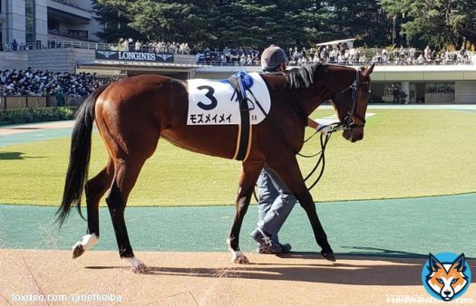 【#桜花賞 優先出走権】 \u25c6チューリップ賞 モズメイメイ コナコースト ペリファーニア  \u25c6フィリーズレビュー シングザットソング ムーンプローブ ジューンオレンジ  \u25c6アネモネS トーセンローリエ コンクシェル