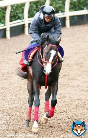 【G3 サウジダービー】 藤田晋氏所有、森秀行厩舎の米国産馬フロムダスク(牡3)が招待を受諾。今週末は土曜東京のクロッカスS(芝1400)に出走。  2走前は京王杯2歳S2着。これまでのレースも全て芝で、出走すればサウジダービーが初ダートとなる見込み。#フロムダスク