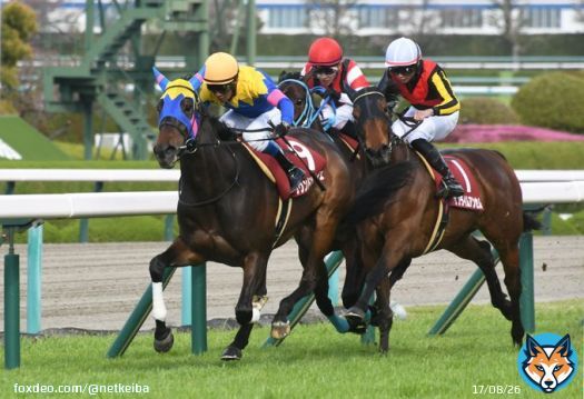 胸騒ぐ春到来、快足飛ばして好位差し切り #サウンドビバーチェ #浜中俊 #阪神牝馬ステークス