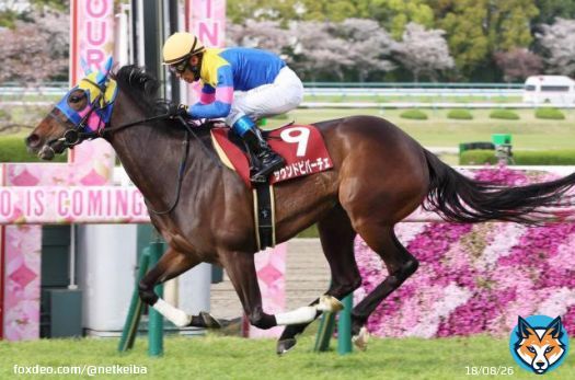 【#阪神牝馬ステークス】 #サウンドビバーチェ 浜中俊騎手 「[前略] 手応え通りしっかりと伸びてくれましたし、先頭に立ってから最後までいい走りだったと思います。力があることを証明できたので、次のG1でもいい走りをしてくれるんじゃないかな」