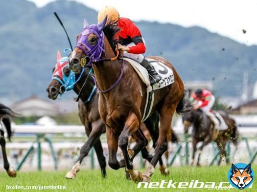 【中山9R・黒松賞(2歳1勝)】 直線短い中山ですが強烈な末脚炸裂。菅原明良騎手騎乗ブーケファロスが差し切りV。  父ビッグアーサー。レアな母の父ダンディコマンドは本馬がJRA初勝利でしたが、これで特別戦も初制覇。