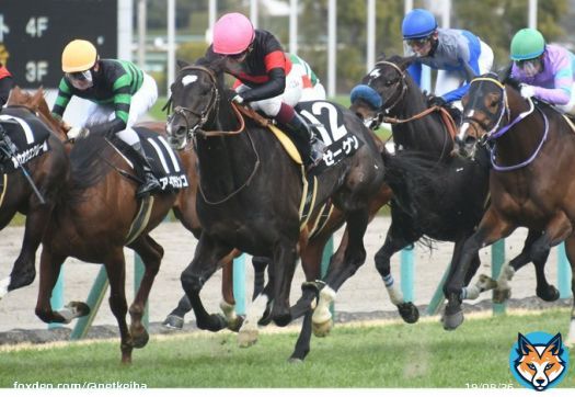 阪神9R 松籟S 4歳上3勝 #ゼーゲン #鮫島克駿 父ディープインパクト 母ソベラニア 美浦・堀宣行厩舎所属。中山記念制したヒシイグアスと3週連続で併せた調教パートナー。  阪神10R マーガレットS 3歳L #ビッグシーザー #幸英明 父ビッグアーサー 母アンナペレンナ 2着ブーケファロスと同産駒ワンツー。