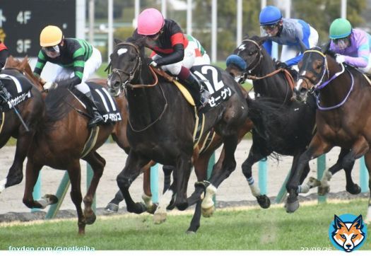 阪神9R 松籟S 4歳上3勝 #ゼーゲン #鮫島克駿 父ディープインパクト 母ソベラニア 美浦・堀宣行厩舎所属。中山記念制したヒシイグアスと3週連続で併せた調教パートナー。  阪神10R マーガレットS 3歳L #ビッグシーザー #幸英明 父ビッグアーサー 母アンナペレンナ 2着ブーケファロスと同産駒ワンツー。