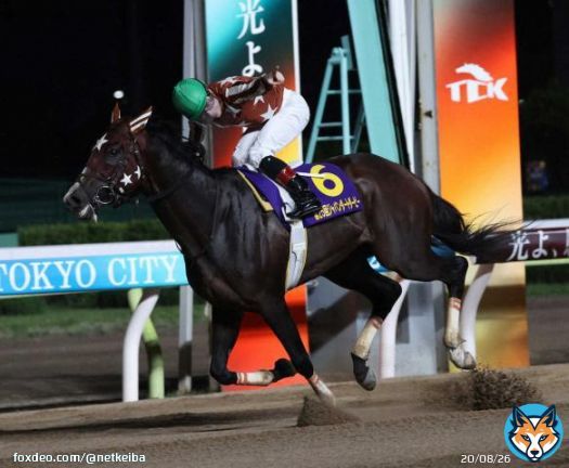 【#JDD】 #ミックファイア 御神本訓史騎手 「もう&hellip;最高。言葉が見つからない」  「今日のJRAのメンバーは超一流が来たと思っている。そこを強い競馬で勝ちきってくれて今後に繋がる光が見えてきた。ますます期待してほしい」※抜粋 #ジャパンダートダービー