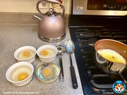 New creation: Lazy Hollandaise Poached Eggs. Eggs in bowls w/vinegar & water for 10 min. Butter in pan to slow simmer. Ladle to place eggs in butter, w/some liq from bowl. Cook 2-3 min. Slotted spoon to remove onto plate. Salt & butter from pan drizzled on top.#carnivorediet