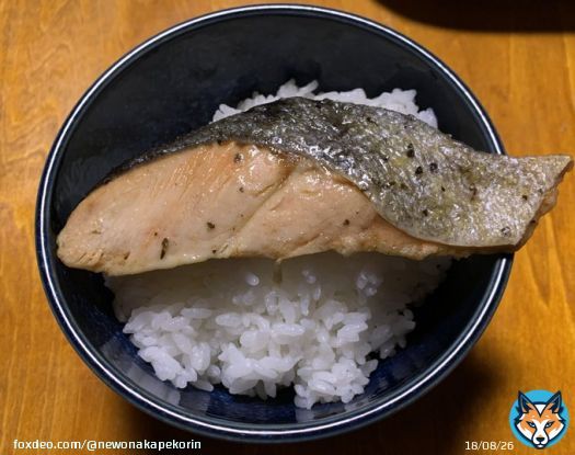 #お腹ペコリン部  &larr;ご自由にお使いください  #おうちごはん  #朝活  #Twitter家庭料理部 #料理好きさんと繋がりたい #料理好きな人と繋がりたい  シャケ