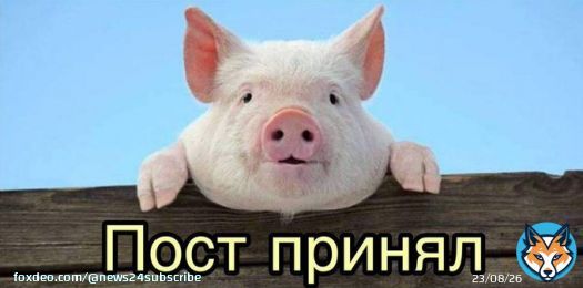 &laquo;Свиной грипп&raquo; обнаружили уже в 74 субъектах РФ &mdash; Роспотребнадзор