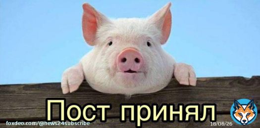 &laquo;Свиной грипп&raquo; обнаружили уже в 74 субъектах РФ &mdash; Роспотребнадзор