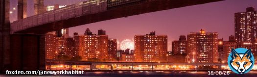 Embrace the Stars and Stripes this 4th of July in the vibrant heart of New York City!   Discover our latest blog post below and let's paint the city red, white, and blue together!     #NYC4thofJuly #IndependenceDay #CelebrateInStyle