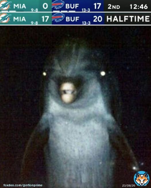 These @MiamiDolphins will not quit   #MIAvsBUF