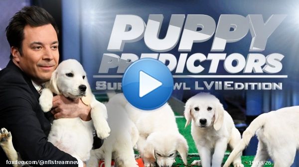 ???????? ???????????????? Now@nflstreamhub  Watch NFL Super Bowl LVII Live Streams Free  NFL TV@nflstreamhub  nfl super bowl 2023 Super Bowl LVII  super bowl halftime s ho puppy bowl Eagles vs Chiefs  nfl stream free reddit #SBLVII #SuperBowl #PuppyB