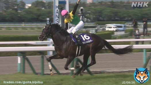 まもなく！【美の壺】#人と共に在る_馬 「走る芸術品」タイトルホルダー　その美の秘密とは！？ #サラブレッド　#タイトルホルダー　#役馬　#大河ドラマ #北斗の拳・黒王号　#遠野の馬搬　#沖縄・与那国馬  今夜7:30～ BSプレミアム・BS４K