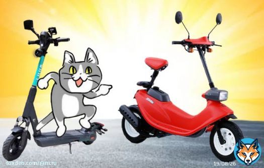 電動キックボードじゃなくてこれでええやん！　 #ホンダ #ズーク
