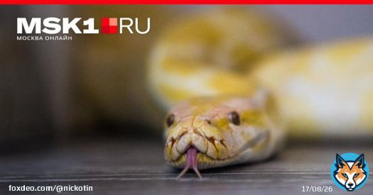 Сегодня, 12 июня, отмечается не только День России &mdash; в этот день наши предки отмечали Исакиев день, или Змеиный праздник.