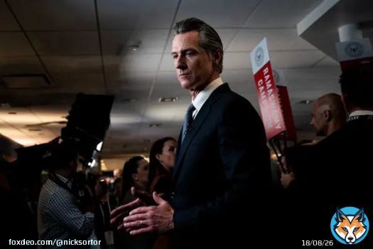 #BREAKING: California Gov. Gavin Newsom has just signed a bill BANNING hand-counting ballots in most elections  WHY?