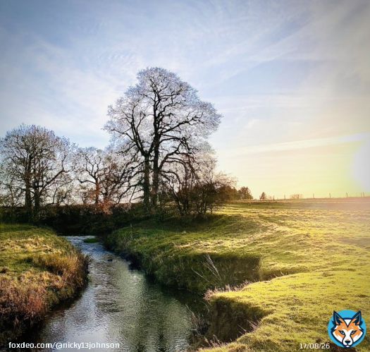 Wishing you a happy Boxing Day from Great Ayton, North Yorkshire