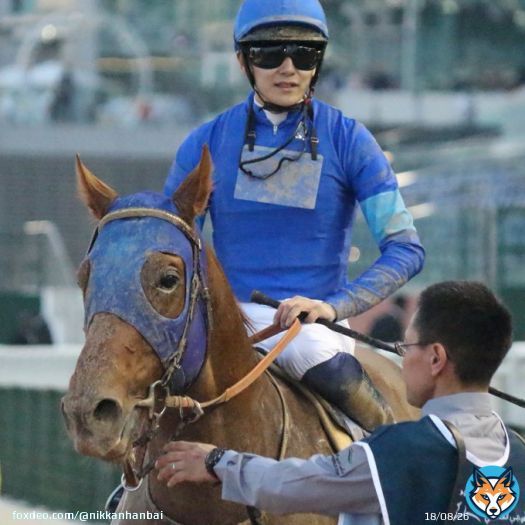 【ドバイゴールデンシャヒーン】無事にレースを終えた #レッドルゼル、#レモンポップ、#ジャスティン です @RacingDubai #DWC #DubaiWorldCup