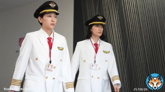 新キャスト決定 #江口のりこ #神保悟志  真里(#水川あさみ)と共に パイロットを目指す 5周目麻美(#安藤サクラ)に どう関わってくるのか&hellip;  '最後の生き直し人生' いよいよスタート  『#ブラッシュアップライフ』 第9話3月5日(日)夜10時30分  1~3話＋最新話TVer配信中
