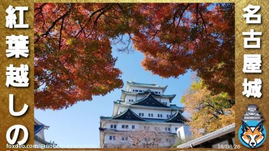 #イマソラ #いまそら ではなく、11月  #名古屋 遠征其肆 #名古屋城 の空  1 #紅葉 が凄かった～ #徳川義直 2 後光射す #加藤清正 公像 3 #那古野城 址でもあるのよね #織田信長 #織田信秀 #織田信光 所縁 4 #御城印 #武将印 #御姫印 限定の #でらます #歴ドル #丹羽仁美 版もあり