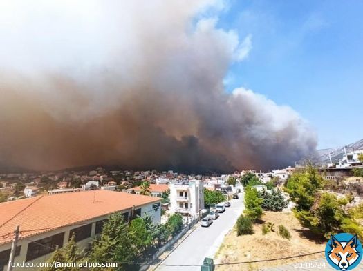The fire just outside #Athens has now reached the National Road that circles the city, authorities closed the road near Elefsina. #Αττική The wind here is just terrible, all night it gusted so strongly there are ripped awnings and smashed plant pots in my street. Fire Updates