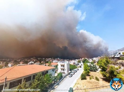 The fire just outside #Athens has now reached the National Road that circles the city, authorities closed the road near Elefsina. #&Alpha;&tau;&tau;&iota;&kappa;ή The wind here is just terrible, all night it gusted so strongly there are ripped awnings and smashed plant pots in my street. Fire Updates