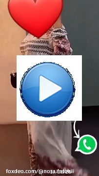 \ud83d\udd25\ud83d\udc9aMy whatsapp in story \u2764\ufe0f \u2764\ufe0f \ud83d\ude4cواتساب ديالي فالسطوري \ud83d\ude0d \u26d4 تنبيه:لعلمك اننا لا نملك هذا الفيديو/الصورة، وكل الحقوق تعود لصاحبها. إذا لم يتم تحديد المالك (أي لم نتمكن من العثور عليه) ،عثور عليه) ، وبهذا يرجى إرسال بريد إلكتروني إلينا بخصوص مشكلتك، مرفق بالصورة/الفيديو المراد حذفها، وحساب المالك وسنرد خلال بضع دقائق، نشكرك على تفهمك.........#saudi #saudiarabia #dubai #bahrain #kuwait #ksa #uae #qatar #oman #riyadh #jeddah #manama #abudhabi #usa #fashion #love #dammam #islam #doha #gcc #egypt #madinah #arabia #turkey #lebanon #khobar #instagram #muslim #india #saudia