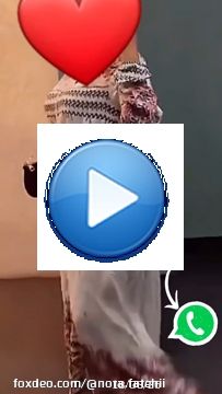 \ud83d\udd25\ud83d\udc9aMy whatsapp in story \u2764\ufe0f \u2764\ufe0f \ud83d\ude4cواتساب ديالي فالسطوري \ud83d\ude0d \u26d4 تنبيه:لعلمك اننا لا نملك هذا الفيديو/الصورة، وكل الحقوق تعود لصاحبها. إذا لم يتم تحديد المالك (أي لم نتمكن من العثور عليه) ،عثور عليه) ، وبهذا يرجى إرسال بريد إلكتروني إلينا بخصوص مشكلتك، مرفق بالصورة/الفيديو المراد حذفها، وحساب المالك وسنرد خلال بضع دقائق، نشكرك على تفهمك.........#saudi #saudiarabia #dubai #bahrain #kuwait #ksa #uae #qatar #oman #riyadh #jeddah #manama #abudhabi #usa #fashion #love #dammam #islam #doha #gcc #egypt #madinah #arabia #turkey #lebanon #khobar #instagram #muslim #india #saudia
