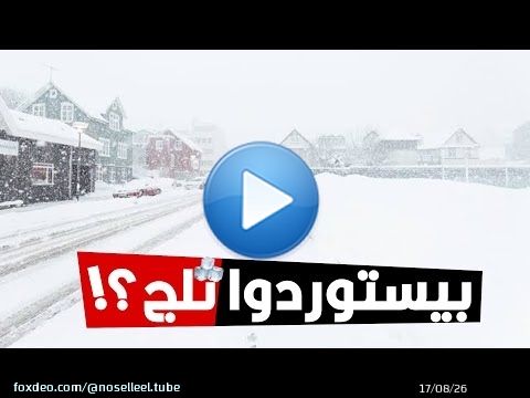 ليه دولة كلها ثلج زي آيسلندا بتستورد ثلج؟