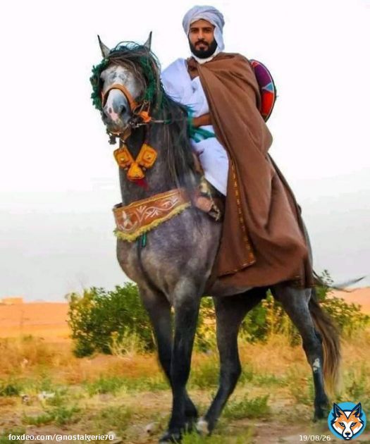 لا نركع إلا لله  وكل أراضينا مسقية بدماء الشهداء  ولا ولن نتخلى عن قضية فلسطين لأنها قضية الرجال فقط  نحن محاربي الصحراء