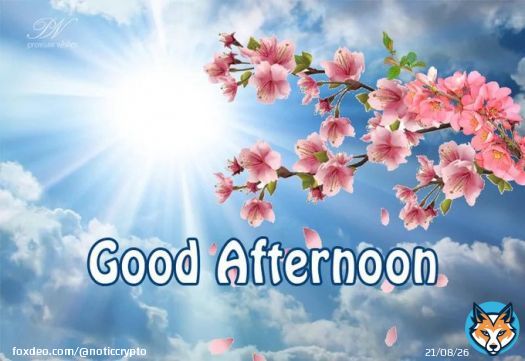 #Goodafternoon and happy #weekend #twitter world!!!! #shill me some  #100x #Gem    #crypto #altcoin #alts  #cryptogem #memecoin #meme #Memes #CryptoGems #1000xgem #1000x #btc&nbsp;&nbsp;&nbsp;&nbsp;&nbsp;&nbsp;&nbsp;&nbsp;&nbsp;&nbsp;&nbsp;&nbsp;&nbsp;&nbsp;&nbsp;&nbsp;&nbsp; #Bitcoin&nbsp;&nbsp;&nbsp;&nbsp;&nbsp;&nbsp;&nbsp;&nbsp;&nbsp;&nbsp;&nbsp;&nbsp;&nbsp;&nbsp;&nbsp;&nbsp;&nbsp; #Bitcoin2023 #bitcoinmining #SHIB #SHIBARMY #dogearmy #doge&hellip;&nbsp;Show more