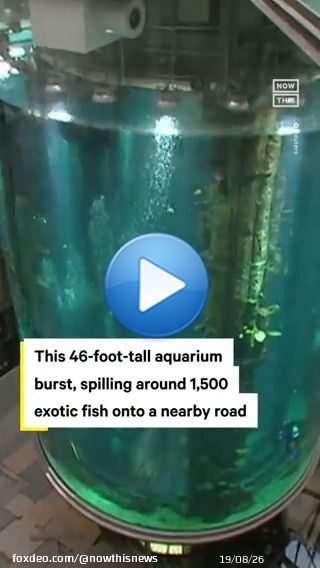 A 46-ft-tall aquarium in the lobby of a Berlin hotel burst open on December 16, injuring two people and sending 264,000 gallons of water crashing through the lobby and into the street &mdash; along with approx 1,500 dead tropical fish.