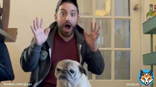Noodle, the pug who rose to fame on TikTok for forecasting whether it would be a 'bones' or 'no bones' day, has died at the age of 14.